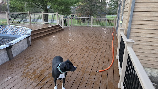 Photo from customer review